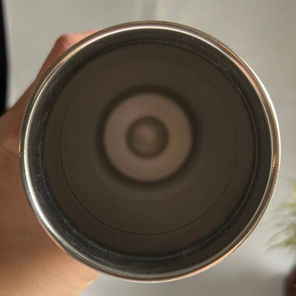 DAVIDsTEA Tea Press Double-Walled Stainless Steel Travel Mug for Loose Tea - Picture 7 of 15